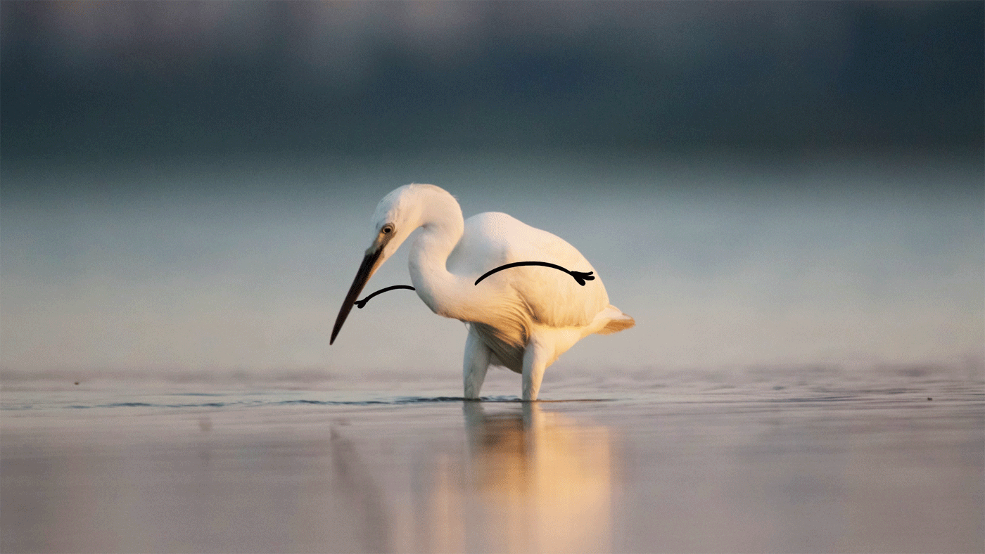 ��� ������� ����� �� ������� 10%