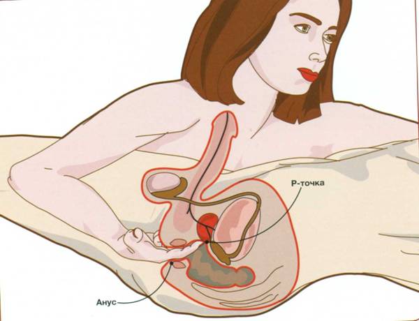 Оргазм от массажа простаты